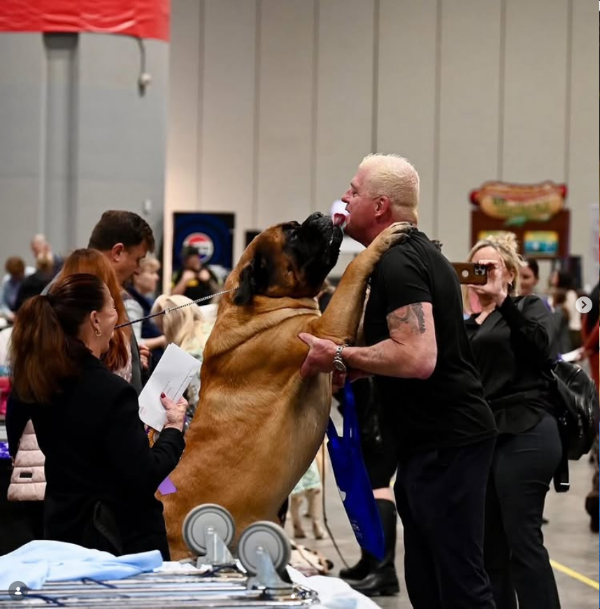 La dieta viral del colosal perro de 114 kg. del luchador Dustin Rhodes ...