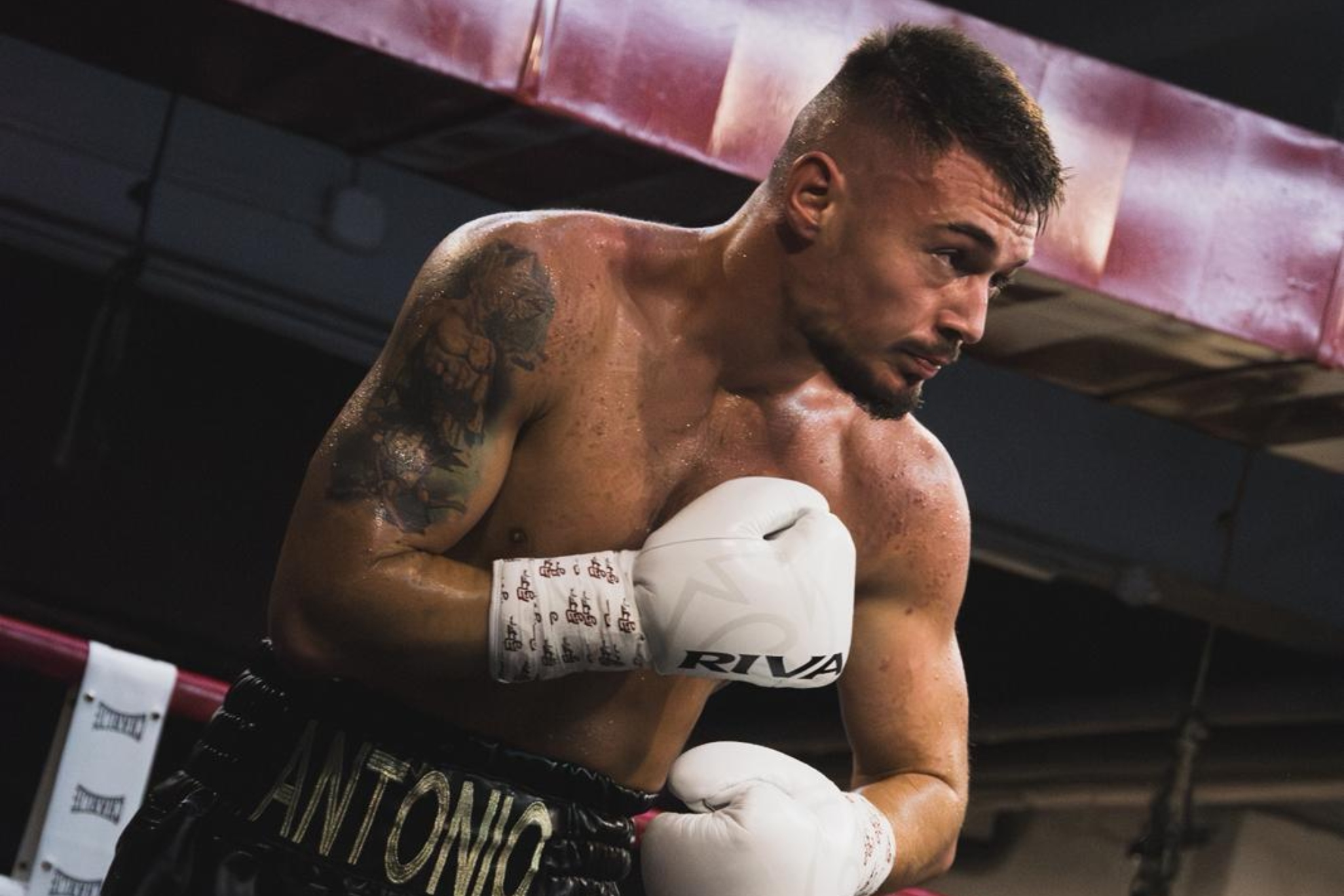 Antonio Collado durante su último combate.