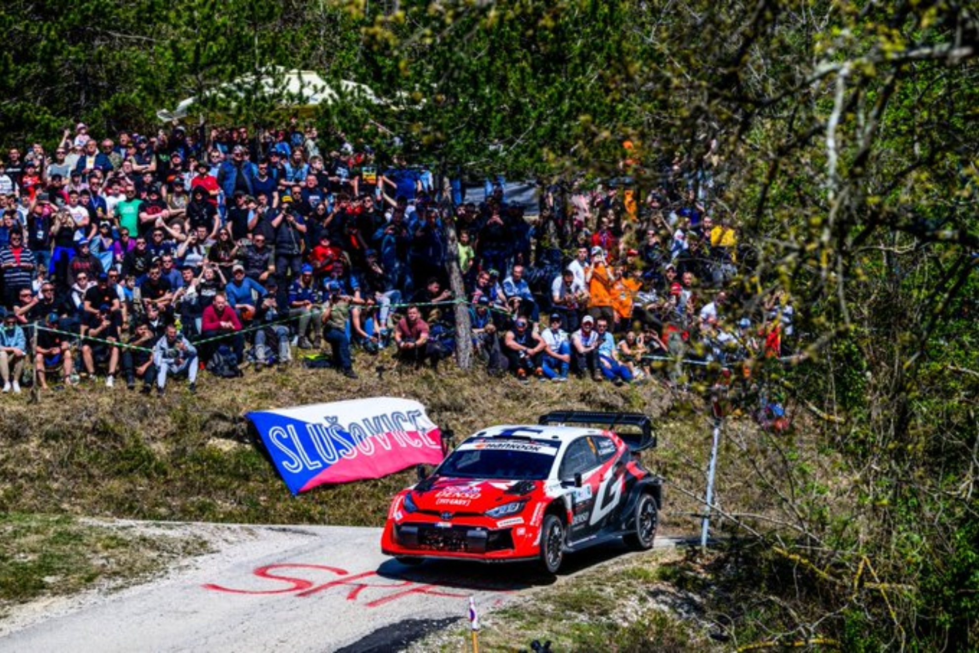 Pajari gana en Croacia