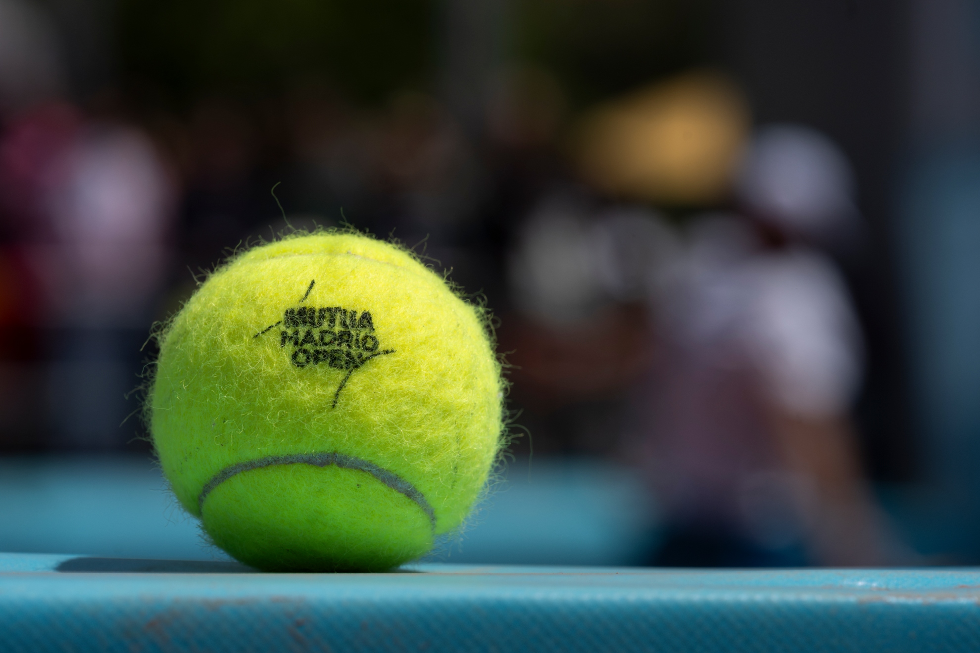 MARCA PLUS MMO 2026 - Torneo en cifras