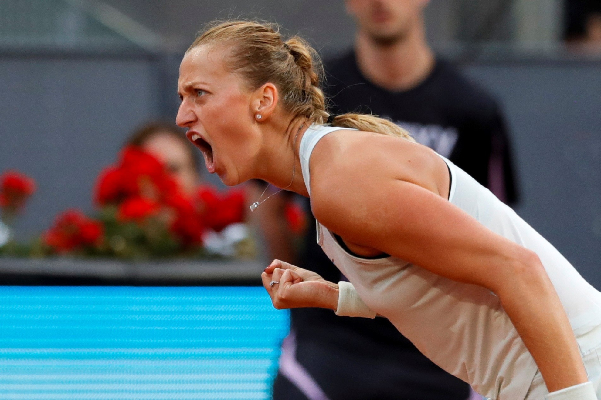 MARCA PLUS MMO 2026 - Tributo Kvitova