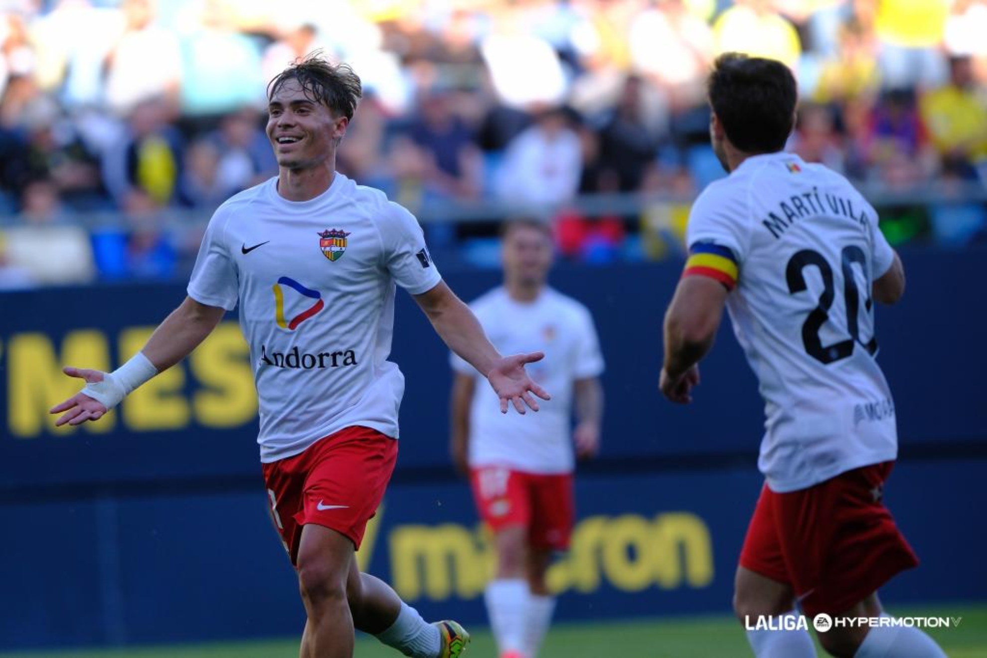 Descripción de la imagen