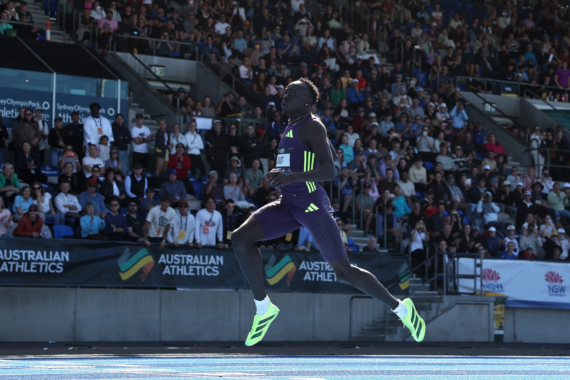 Gout Gout, en competición