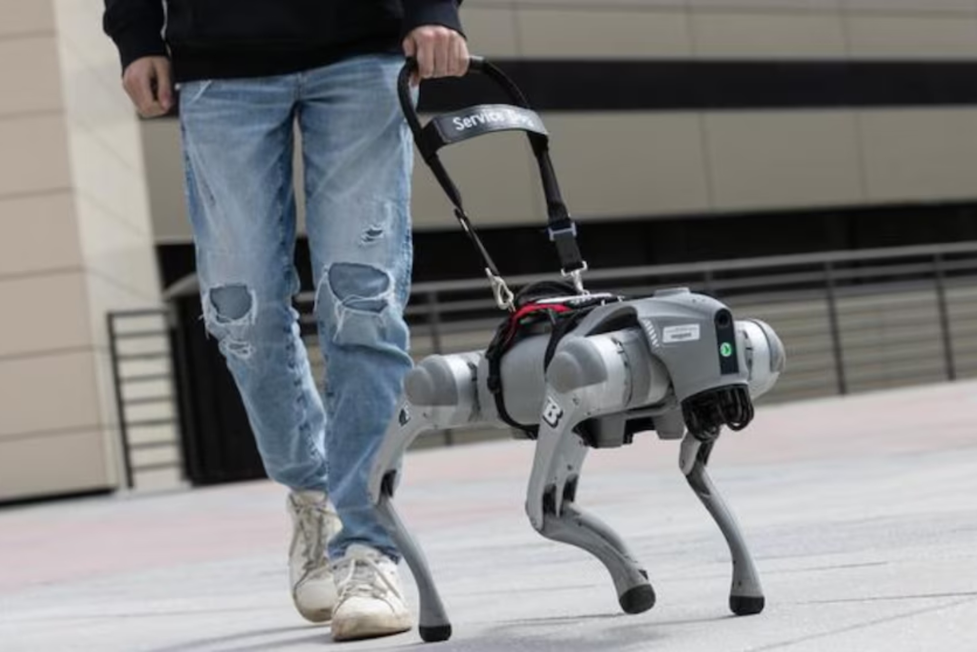 Perro guía robótico