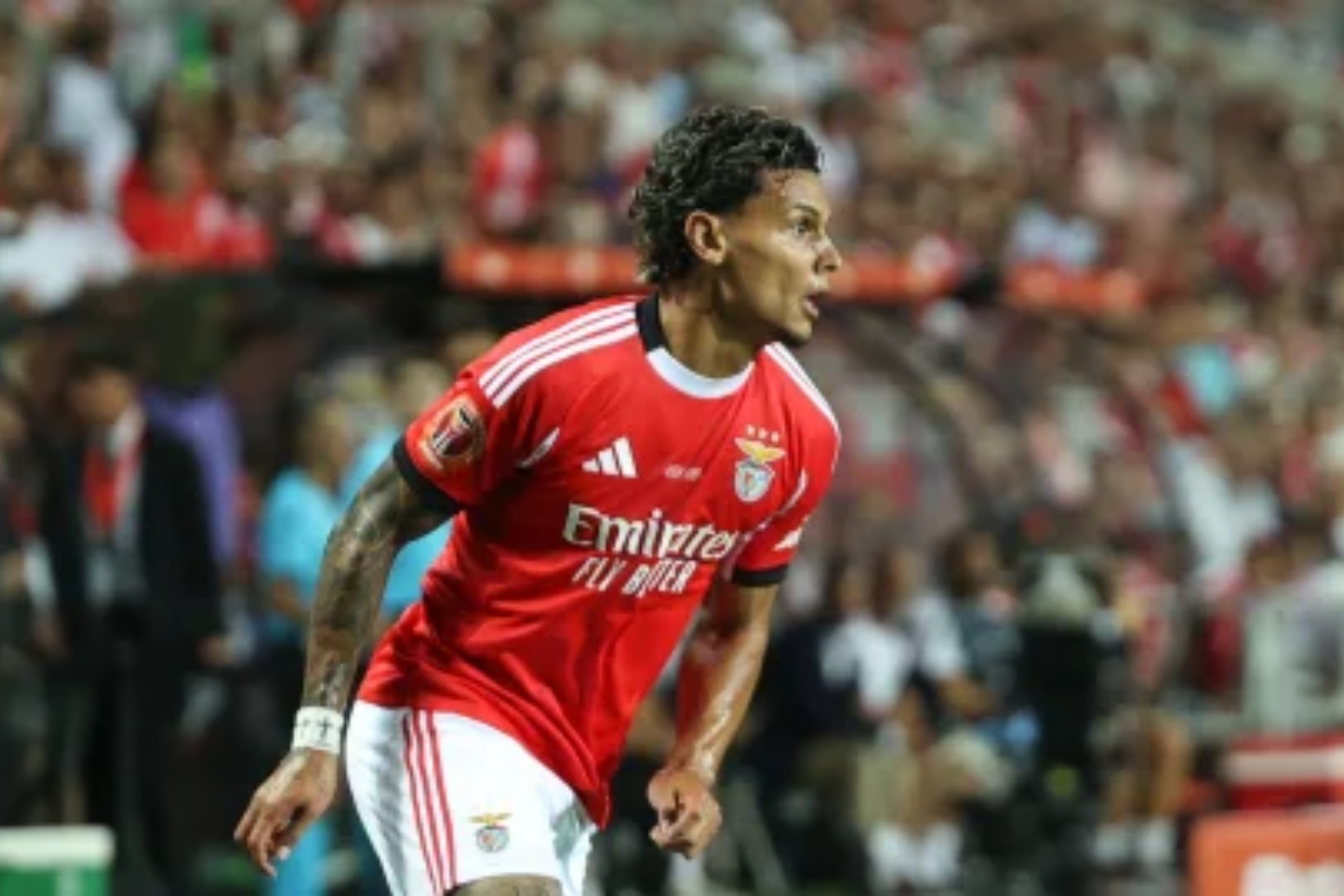 Richard Ríos no se mueve: Benfica rechaza ofertas de las grandes ligas por el colombiano.