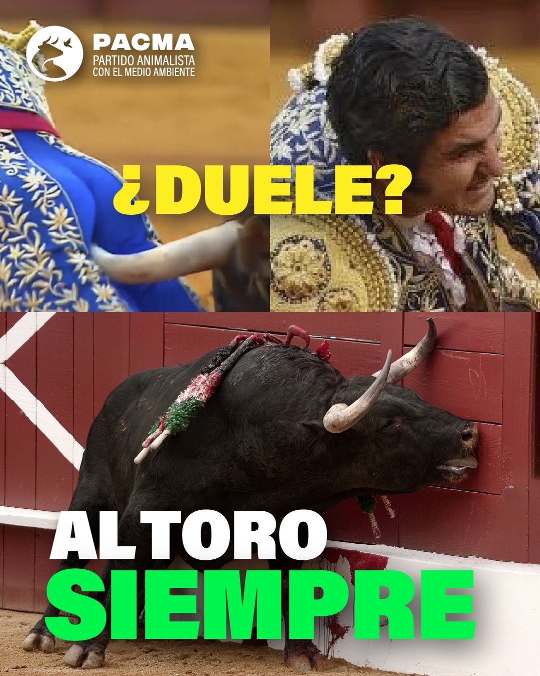 La publicación en redes sociales del PACMA.