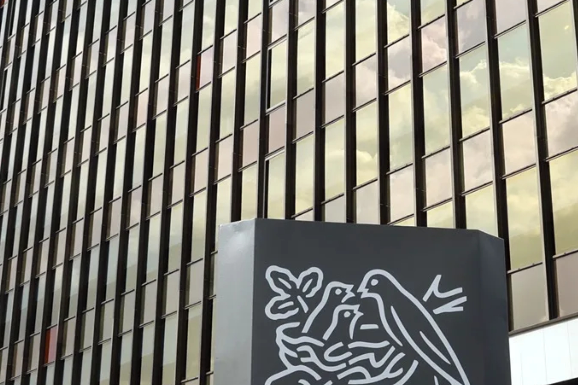 Este gigante de la alimentación afronta una reestructuración completa en España