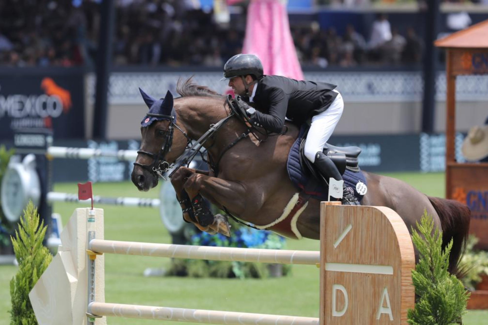 Simon Delestre, en una prueba del Champions Tour.