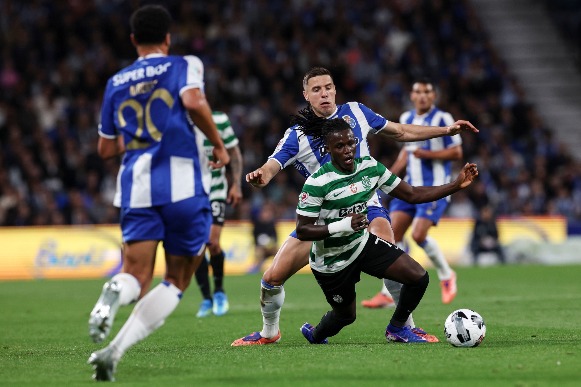 Quenda, ante Bednarek.