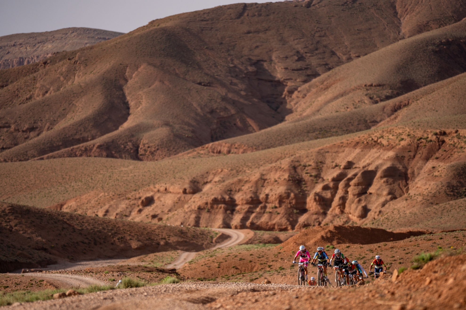 BeFunky-collage - 2026-04-26T173430.915