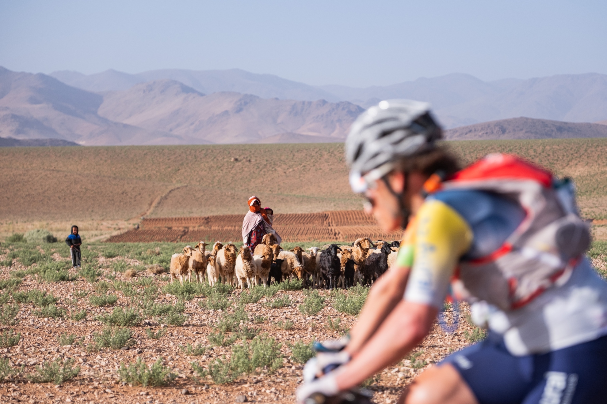 BeFunky-collage - 2026-04-27T180856.473