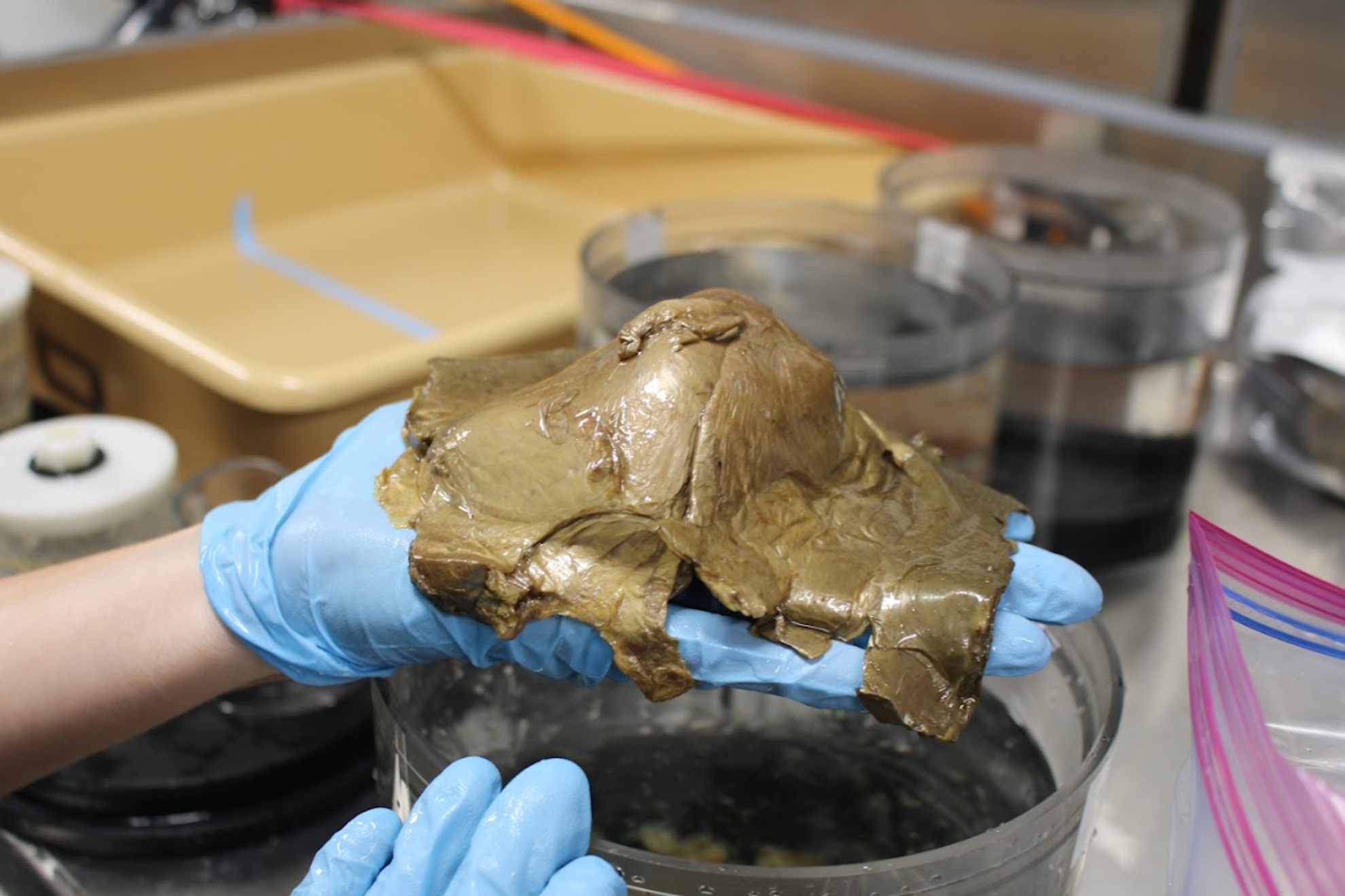 El misterioso orbe dorado.