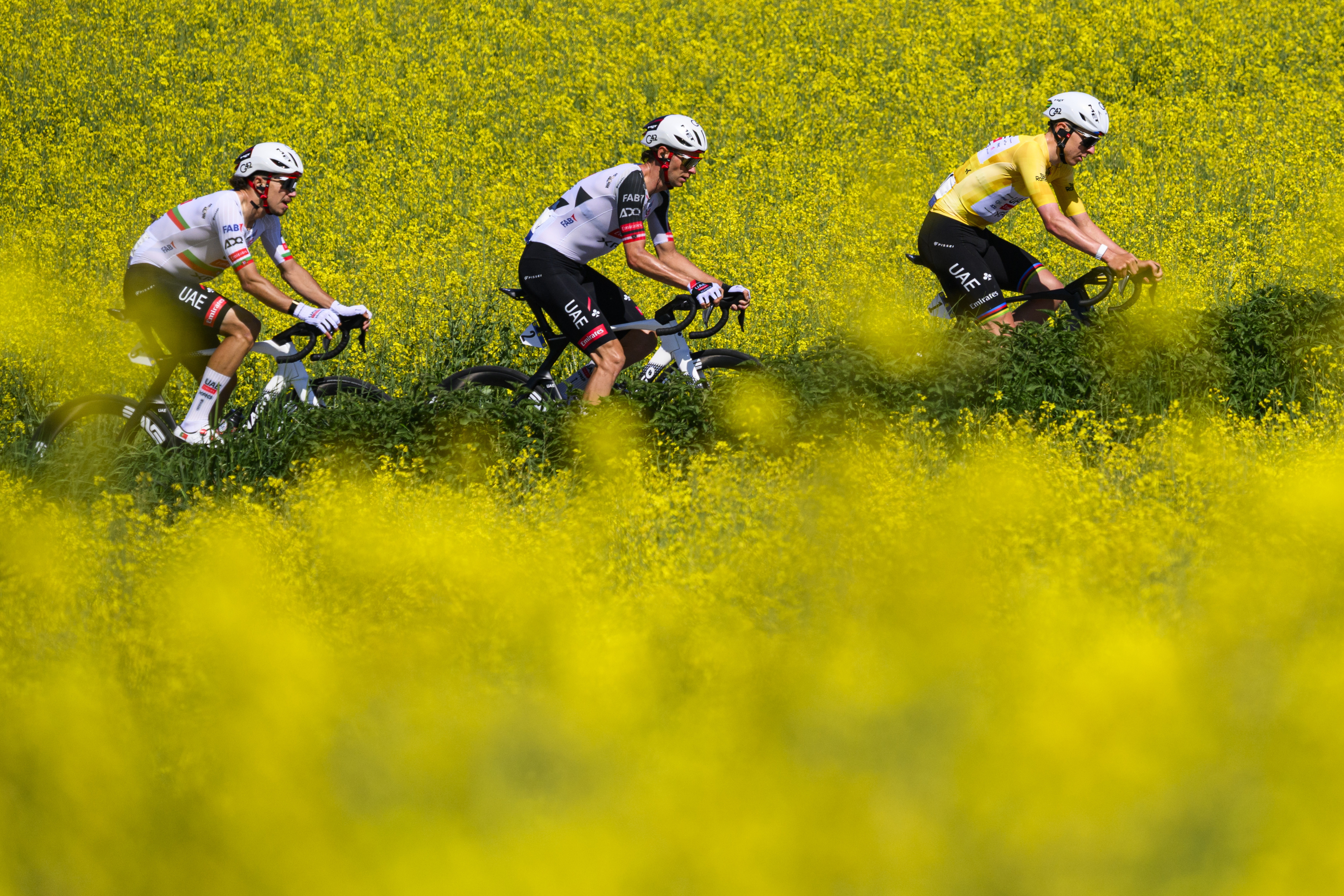 Tadej Pogacar, in yellow.