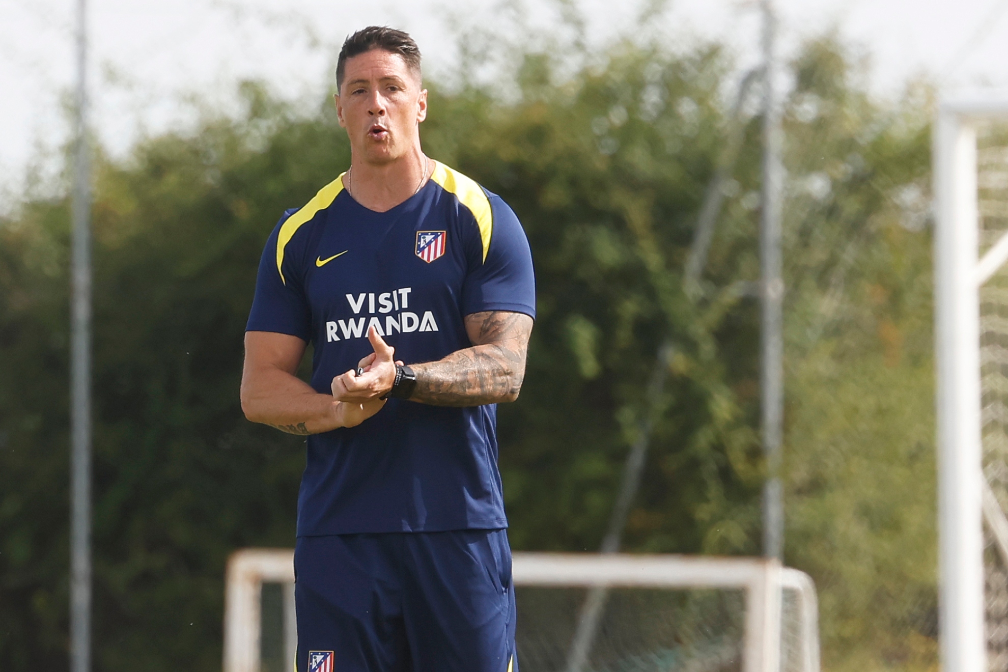 FERNANDO TORRES.