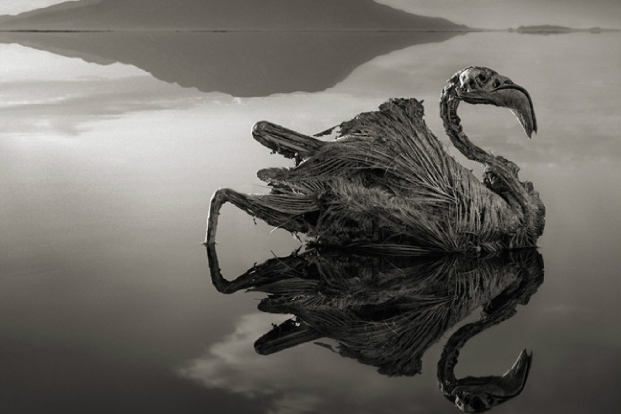 Lago Natron