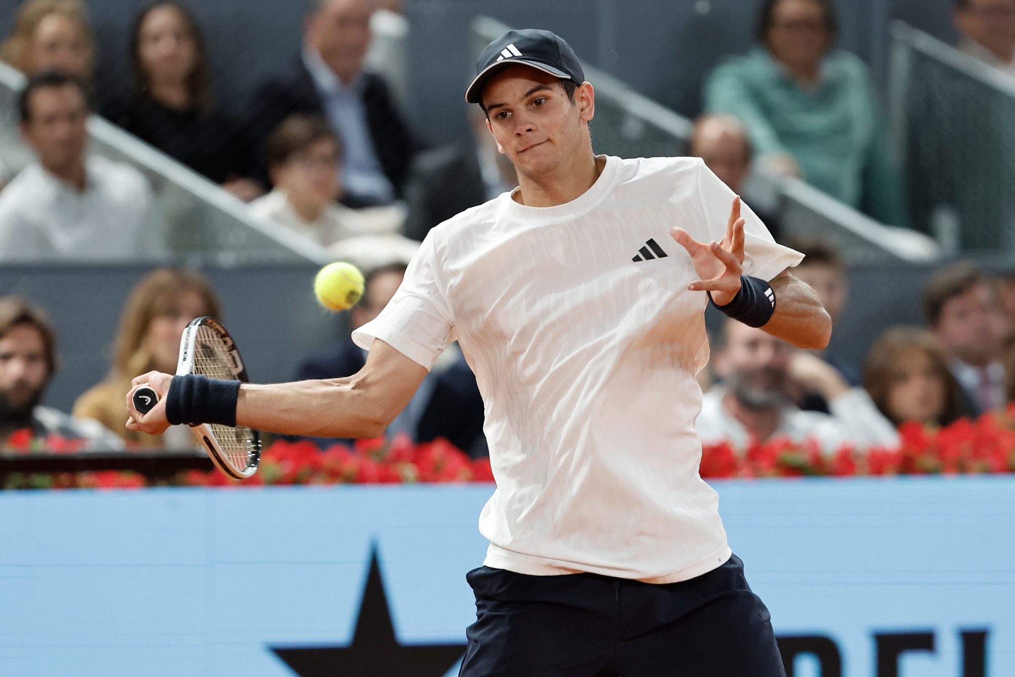 Rafa Jódar debuta como cabeza de serie en Roma 2026 con un cuadro que evita a Sinner hasta la final — image 5