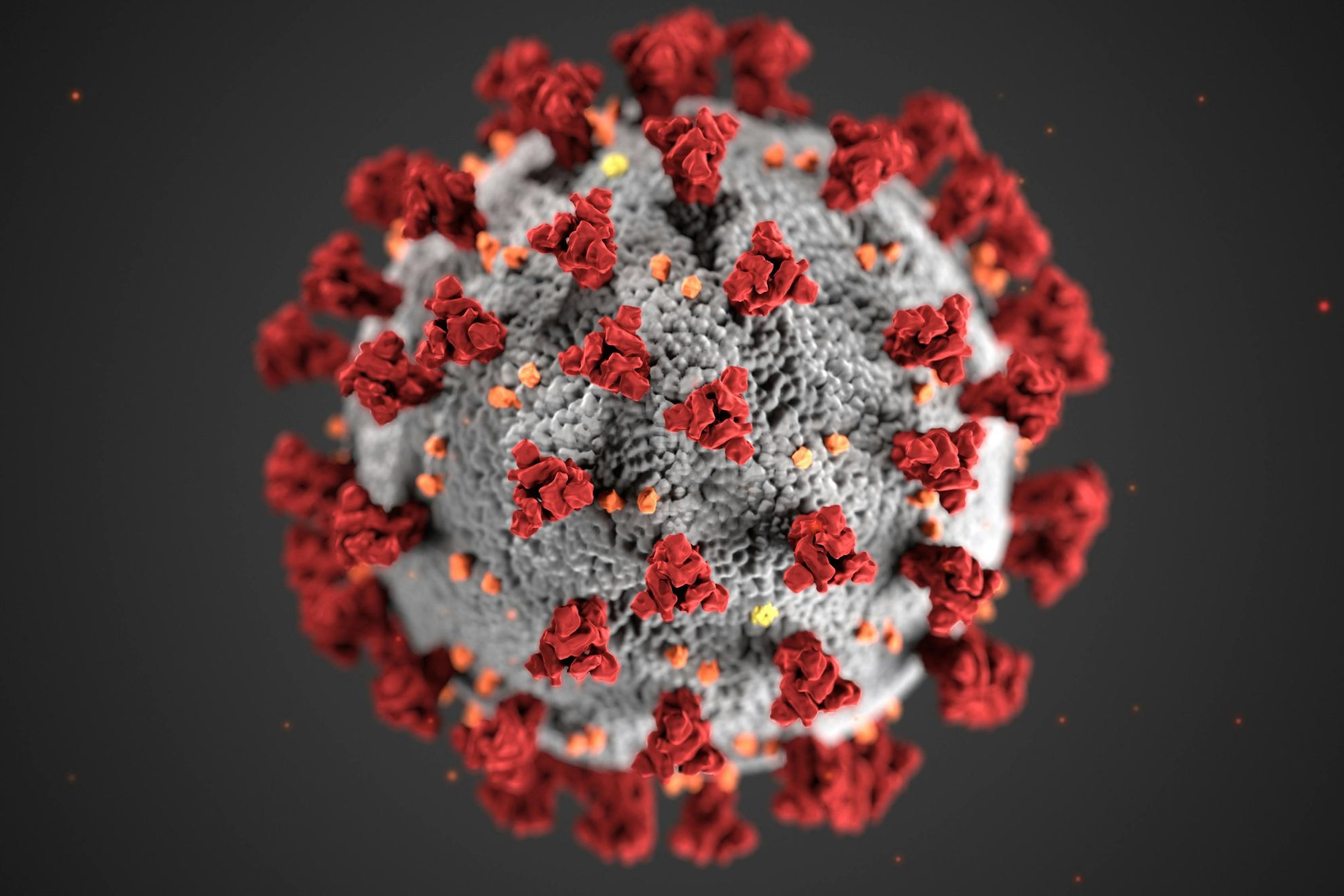Virus