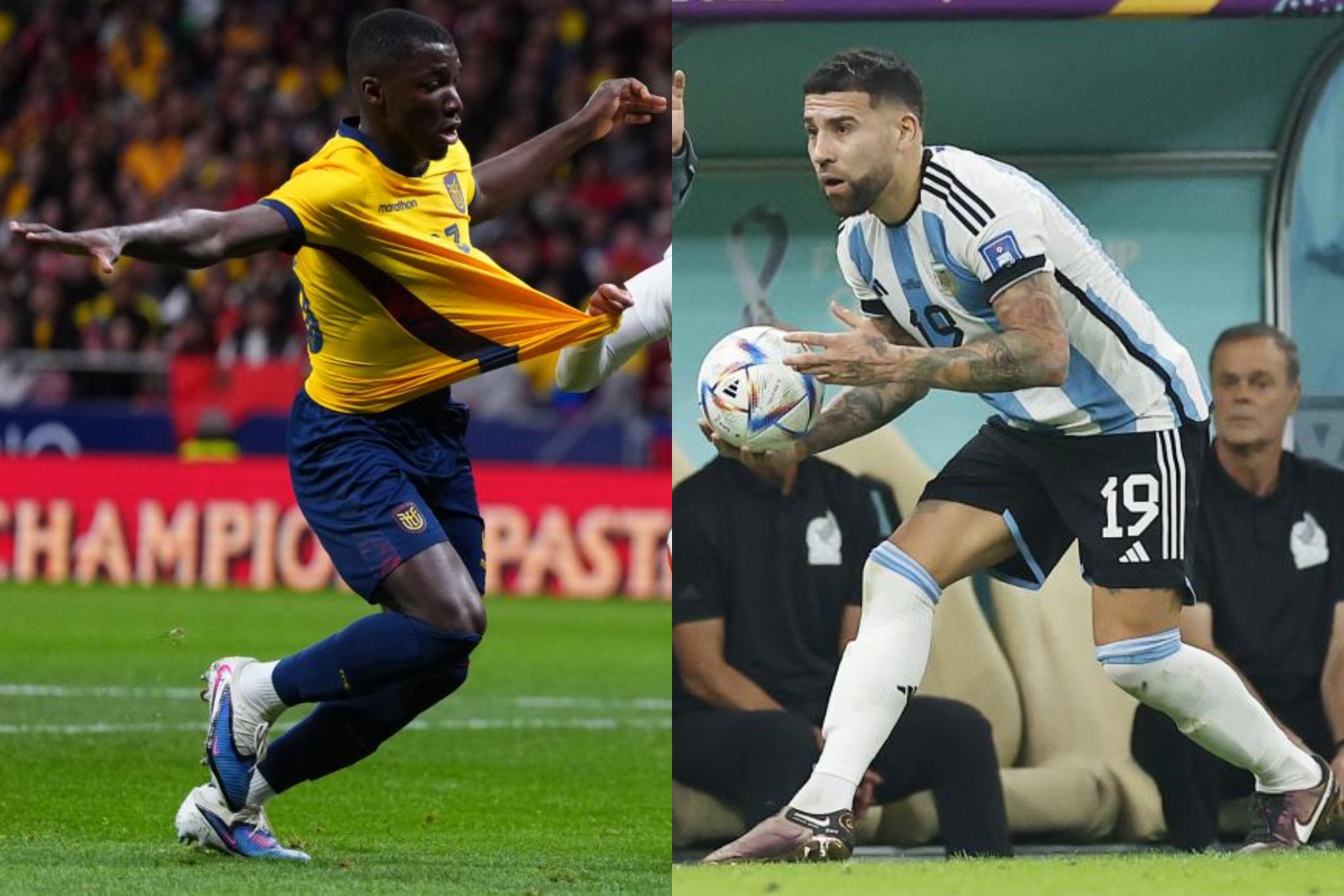 Moisés Caicedo y Nicolás Otamendi, con Ecuador y Argentina.