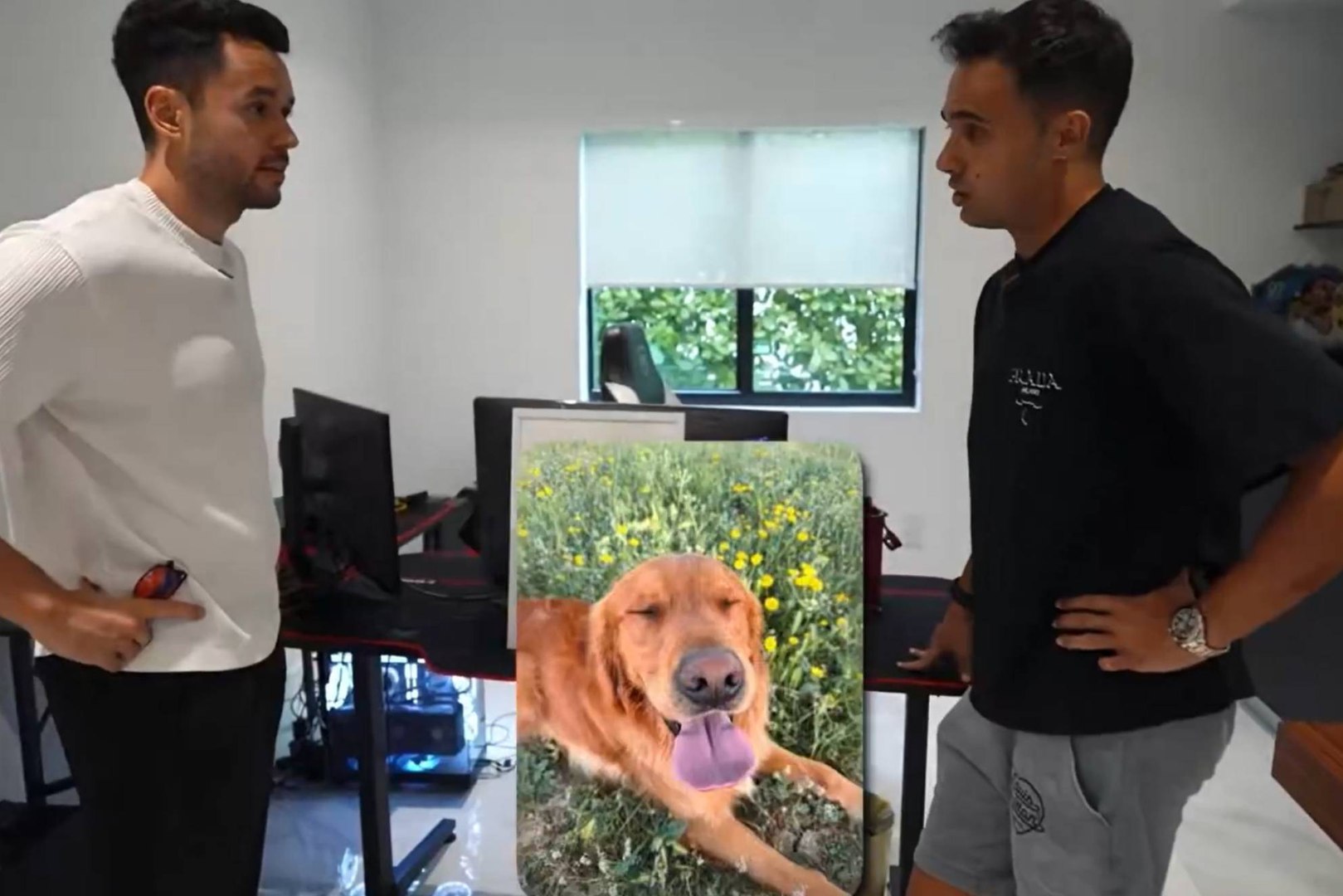 El futbolista Sergio Reguilón demostró la pasión que tiene por su mascota confesándole a The Grefg que alquilará un avión privado para facilitarle el vuelo a Estados Unidos a su perro, un Golden Retriever de 28 kg. que sólo podría viajar en la bodega del avión.
