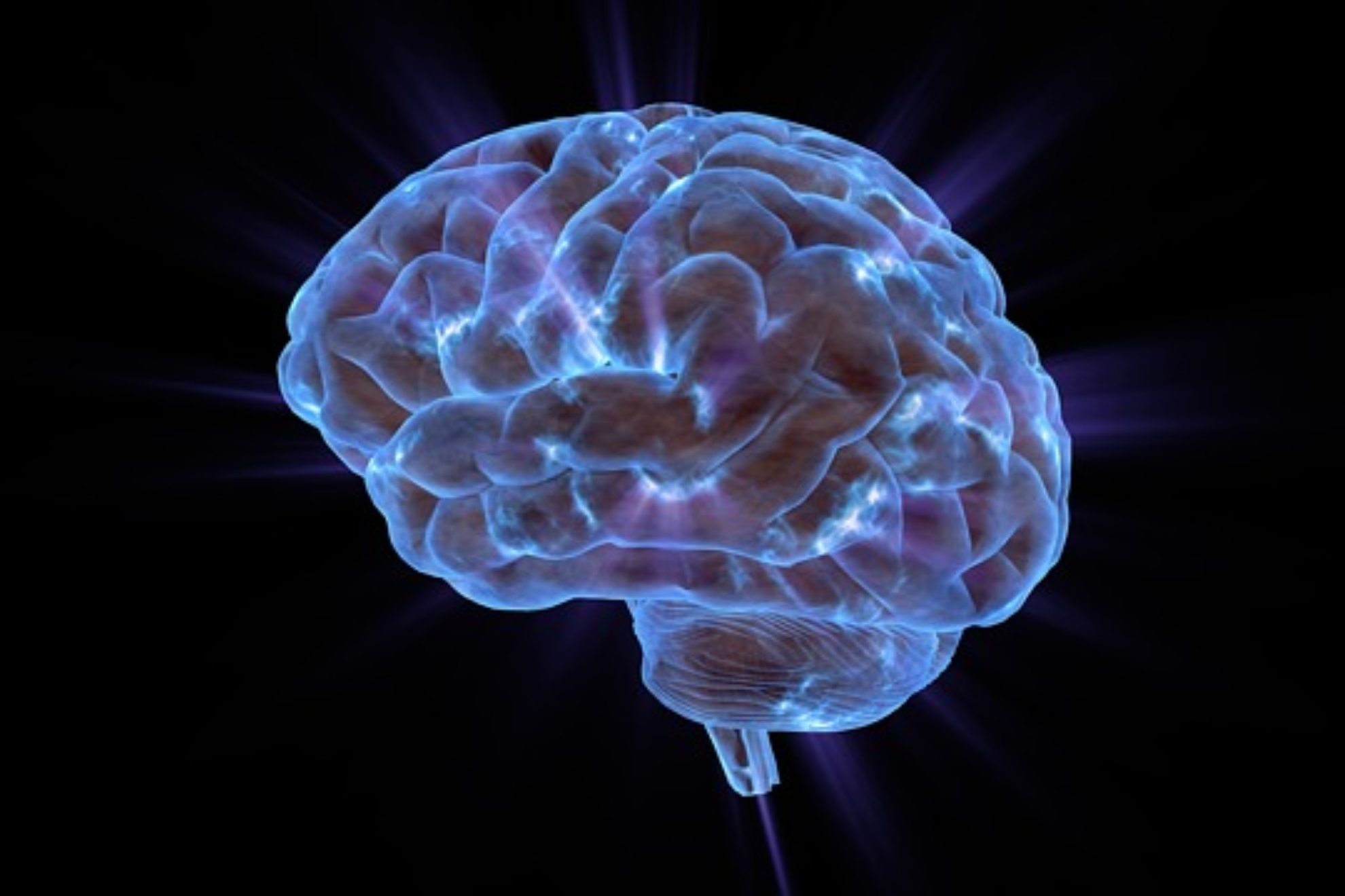 Cerebro.