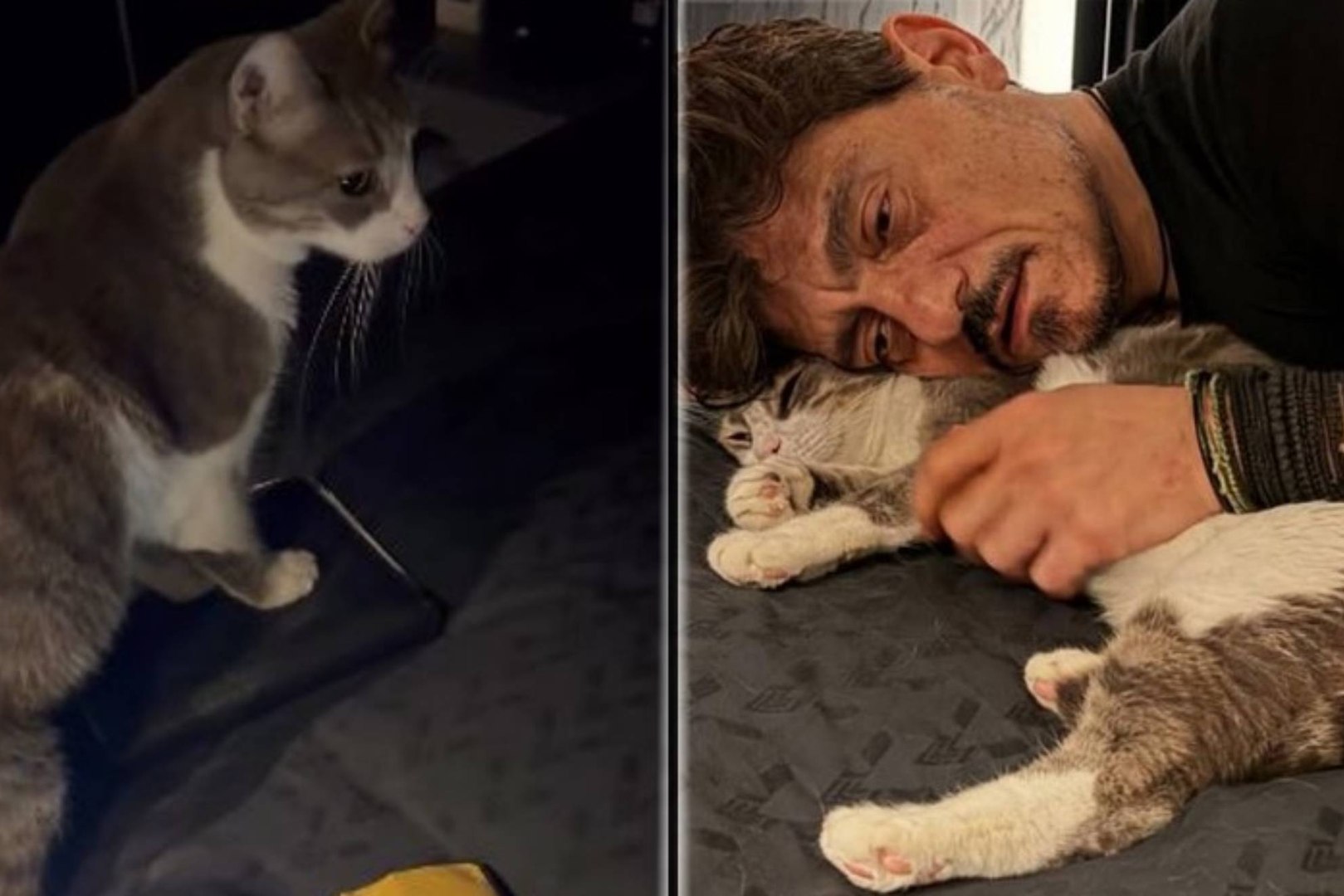 Dimitris Giannakopoulos, controvertido presidente del Panathinaikos, ahogó sus penas charlando con su gato tras la eliminación del PAO ante el Valencia Basket en cuartos de la Euroliga: "Pero déjame decirte algo, la amargura se supera con amargura"