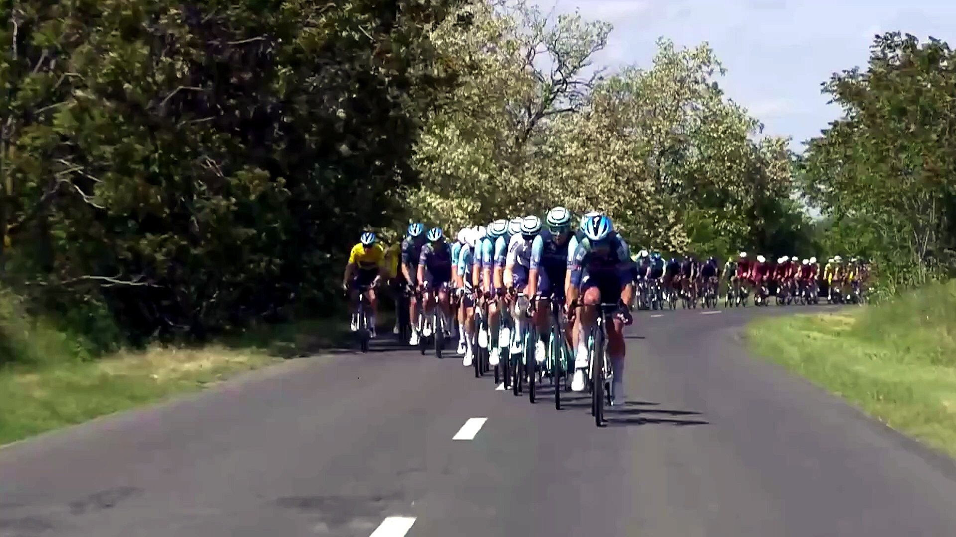 Ocurrió durante el Tour de Hungría este jueves cuando un ciervo cruzó con peligro la carretera. Pudo provocar una desgracia entre los corredores.