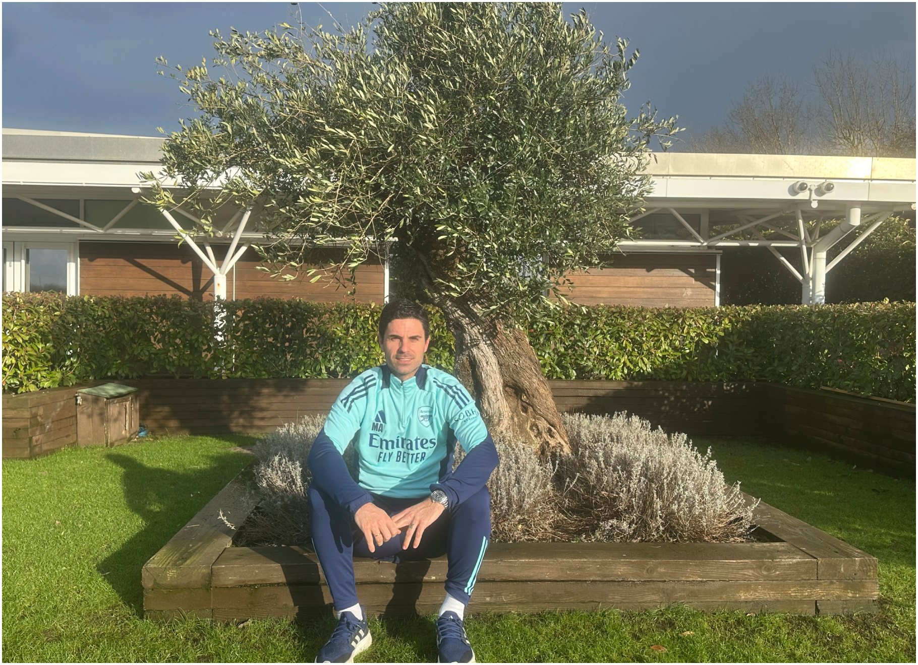 Arteta, en el árbol que plantó enfrente de su despacho.
