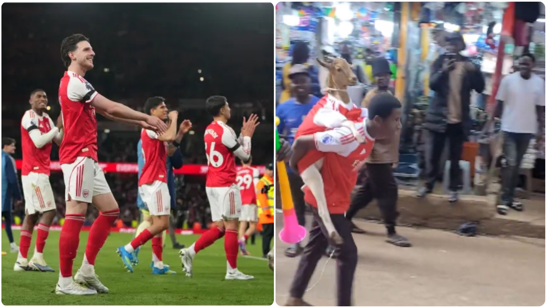 El equipo londinense se proclamó campeón de la Premier League este martes, desatando la locura entre la afición 'gunner'. En países como Uganda, la celebración se les ha ido de las manos: un seguidor cargaba con una cabra en sus espaldas. Además, el animal estaba dentro de su camiseta. Una imagen lamentable, que ha dado la vuelta al mundo.