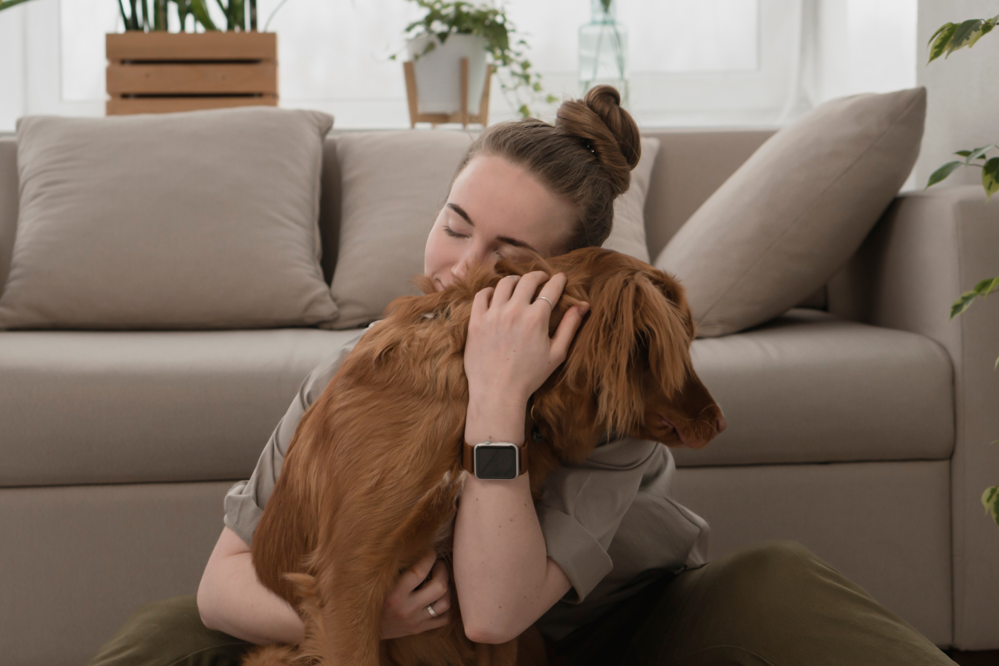 Una persona, abrazando a un perro.