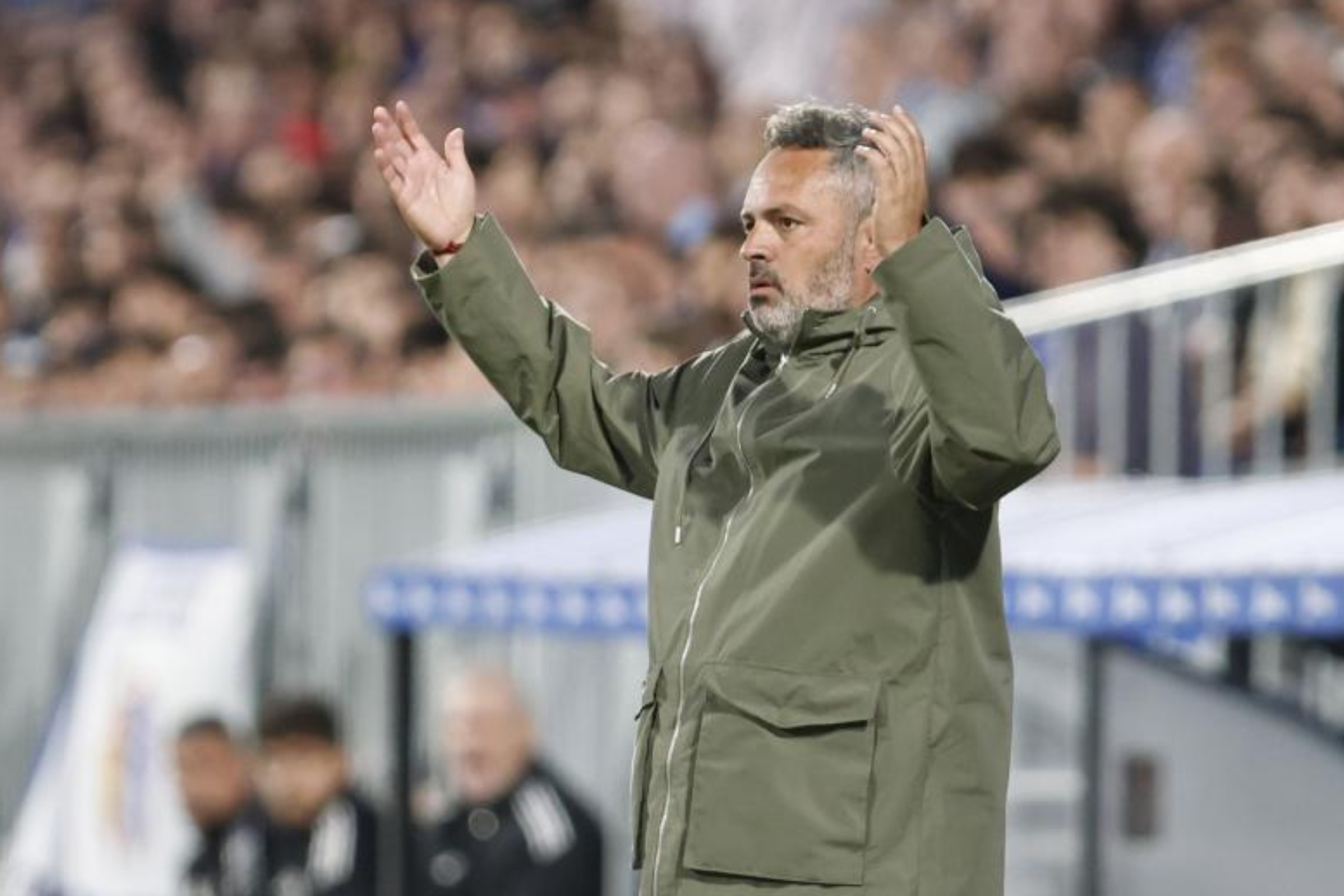 David Navarro, entrenador del Real Zaragoza.
