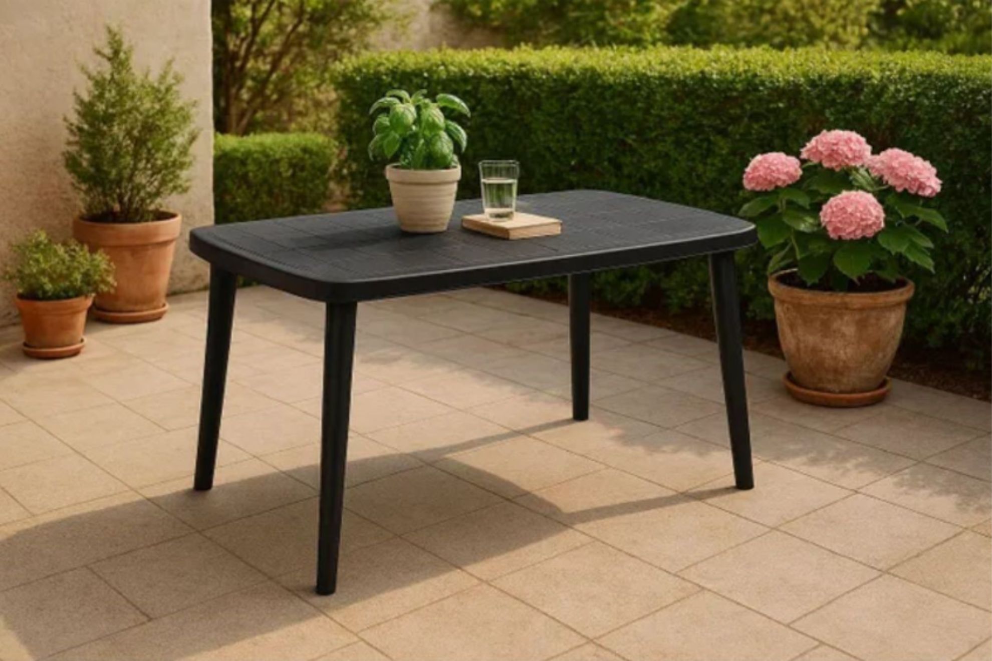 mesa2