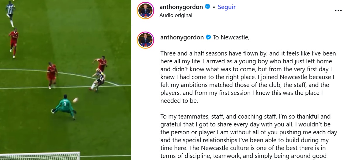 Instagram de Gordon
