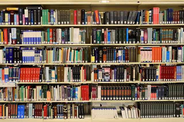 Imagen de recurso de varios libros en una estantería. Pixabay.