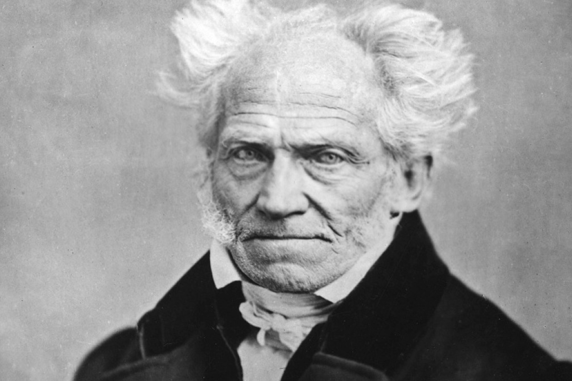 Arthur Schopenhauer. Wikipedia.