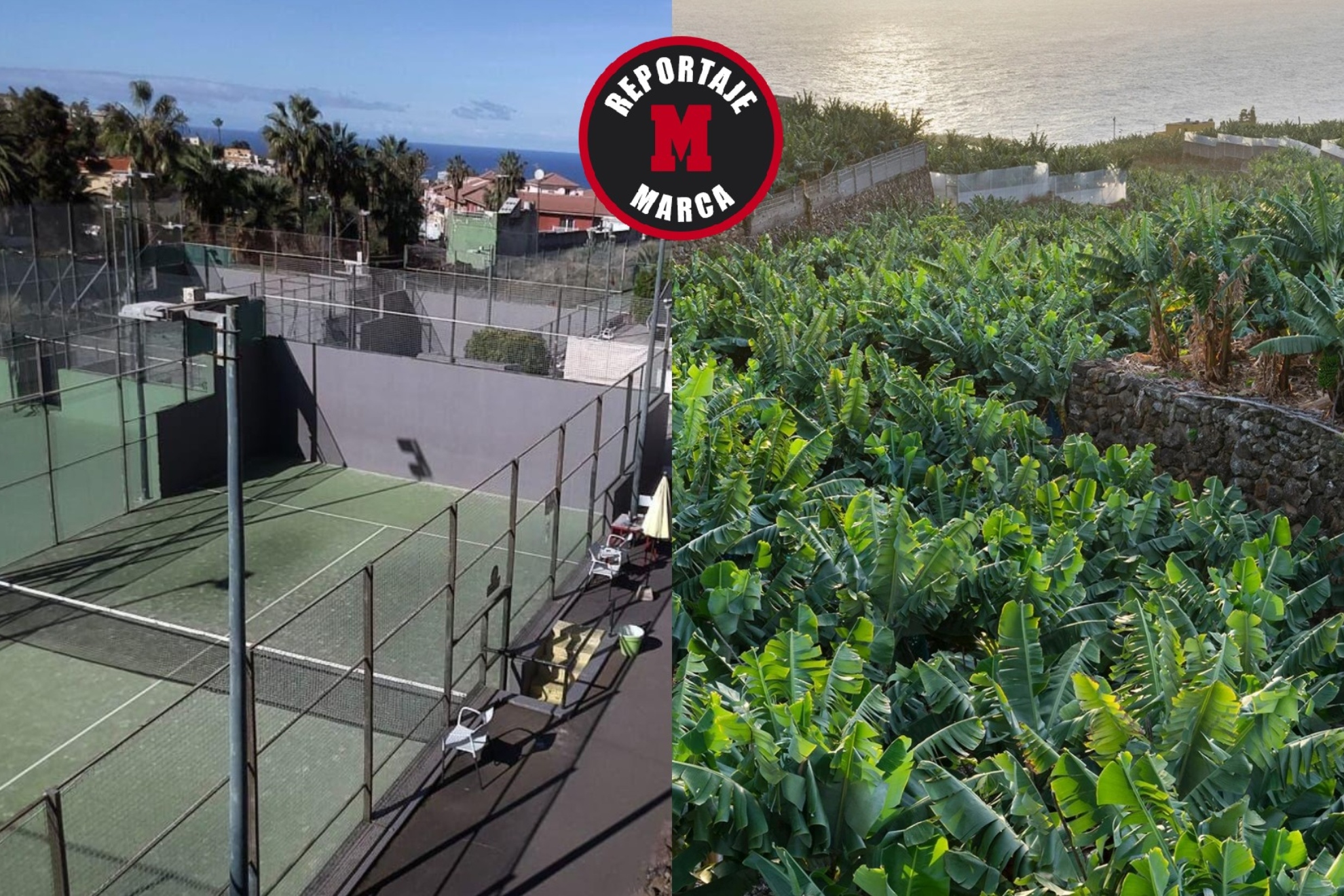 Una platanera, 50 millones de pesetas y tenis quick: así arrancó el pádel en Canarias