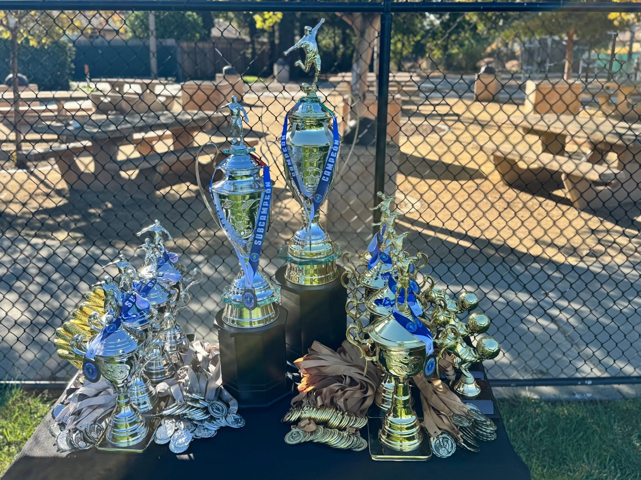 Trofeos de campeón de Liga