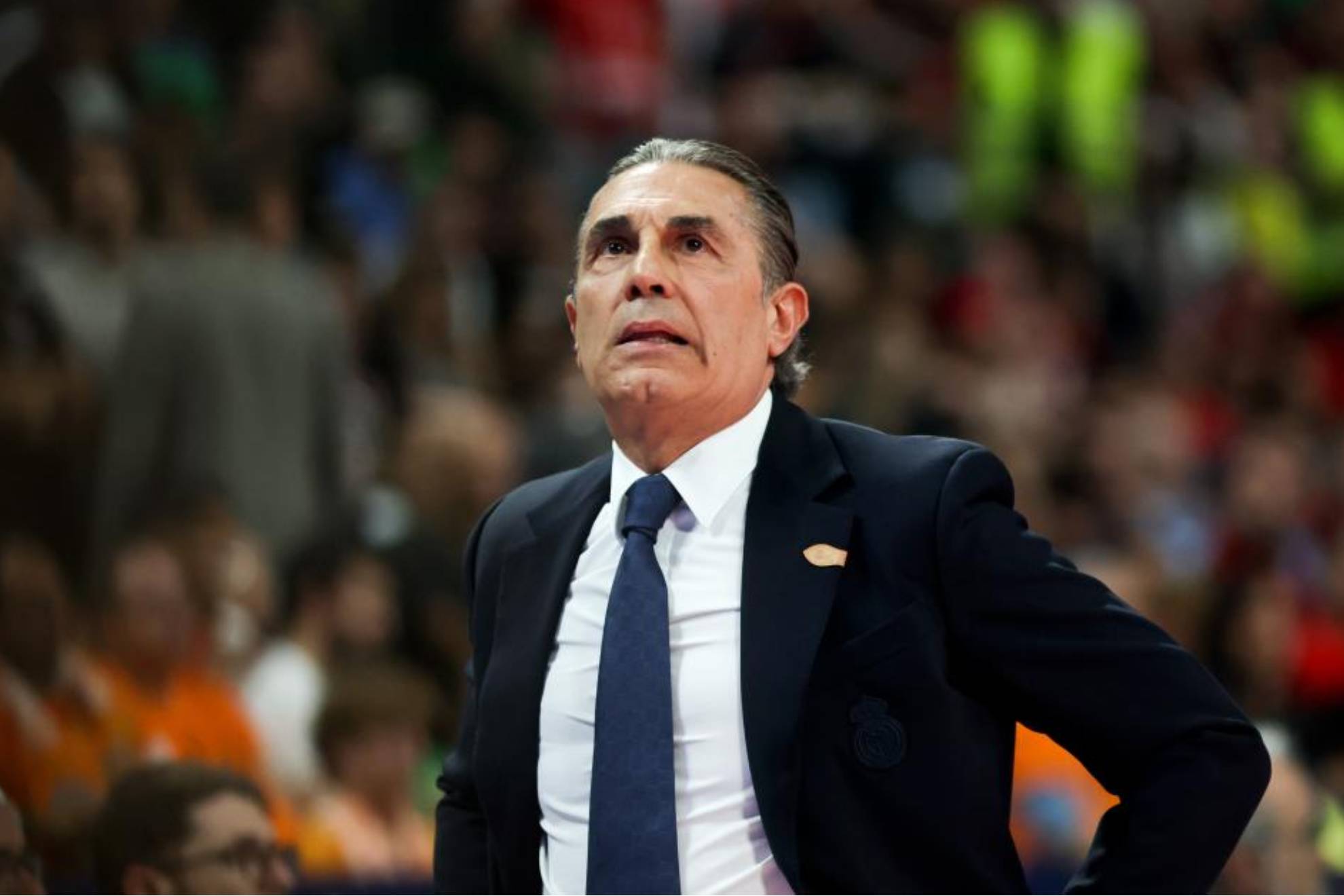 Sergio Scariolo, during a Real Madrid match this season.