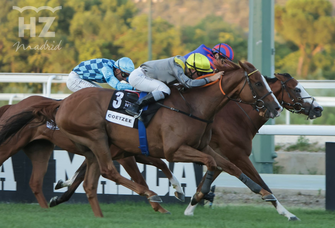 'Coetzee' supera a 'Sirjan' en el GPM.
