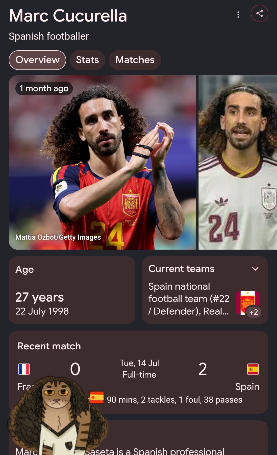 El meme del gato buscando Cucurella en google.