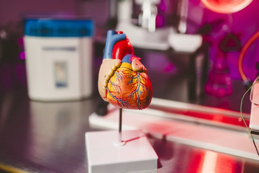 Pilar Ferrer, la bióloga argentina de 25 años que desarrolla un gel con tejido placentario para recuperar el corazón tras un infarto 2 Pruebas en infartos.