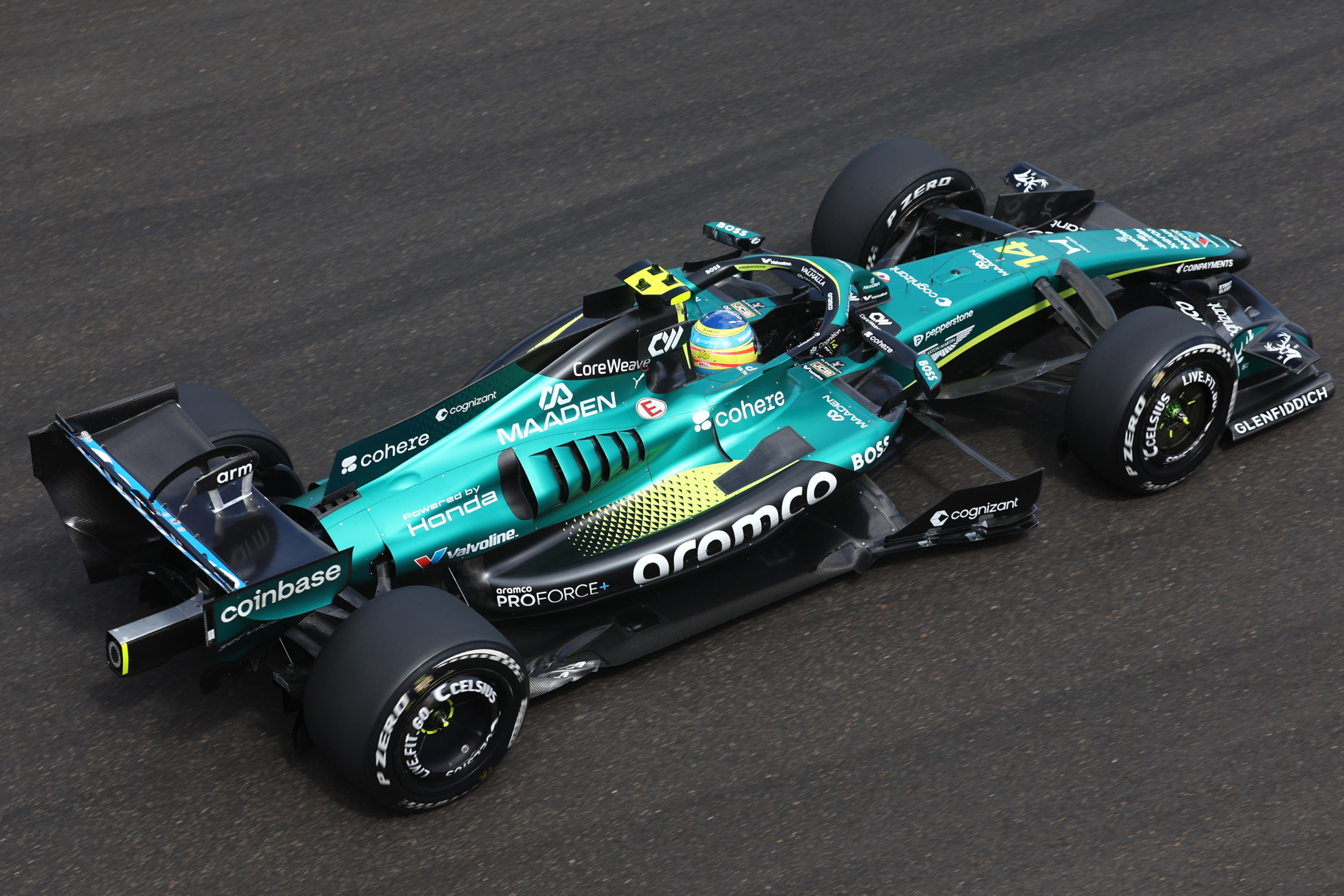 Fernando Alonso, en Hungaroring.