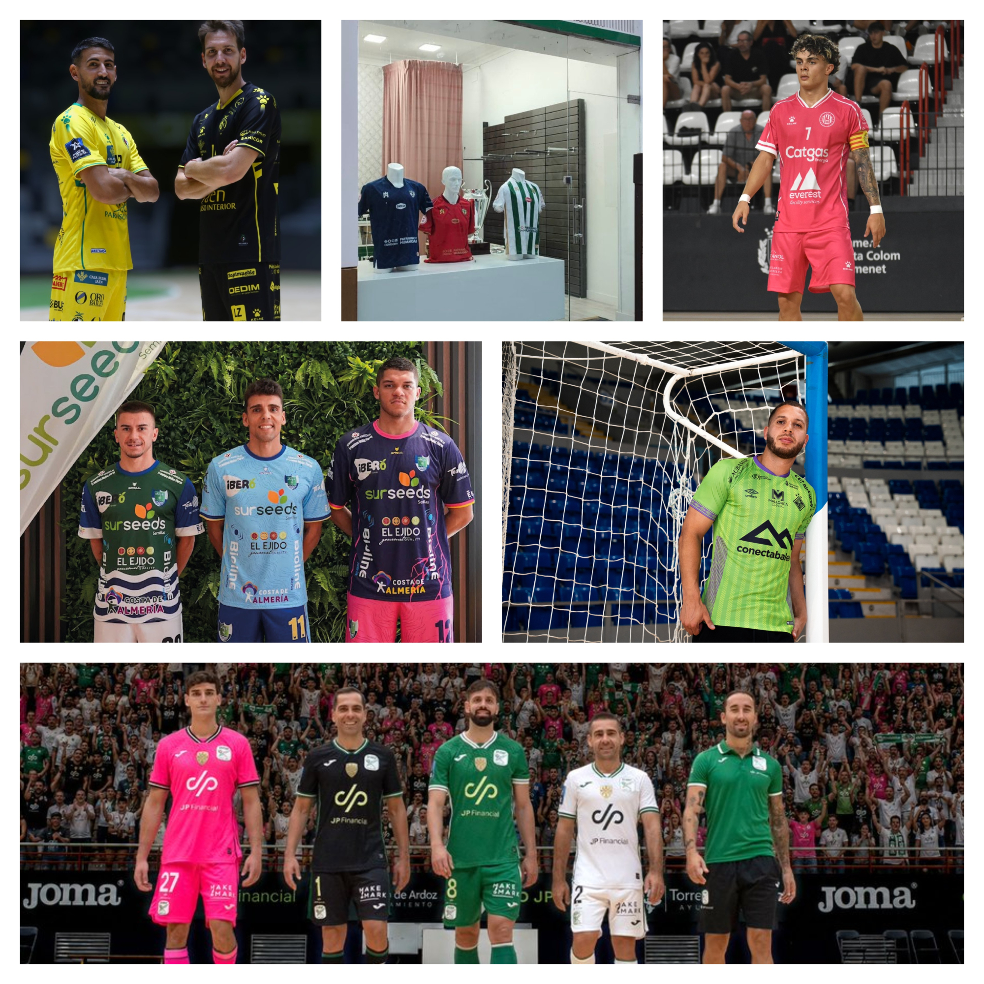 Equipaciones de Jaén Paraíso Interior, Córdoba Patrimonio de la Humanidad, Catgas Energía Santa Coloma, Sur Seeds El Ejido Futsal, Illes Balears Palma, Inter JP Financial