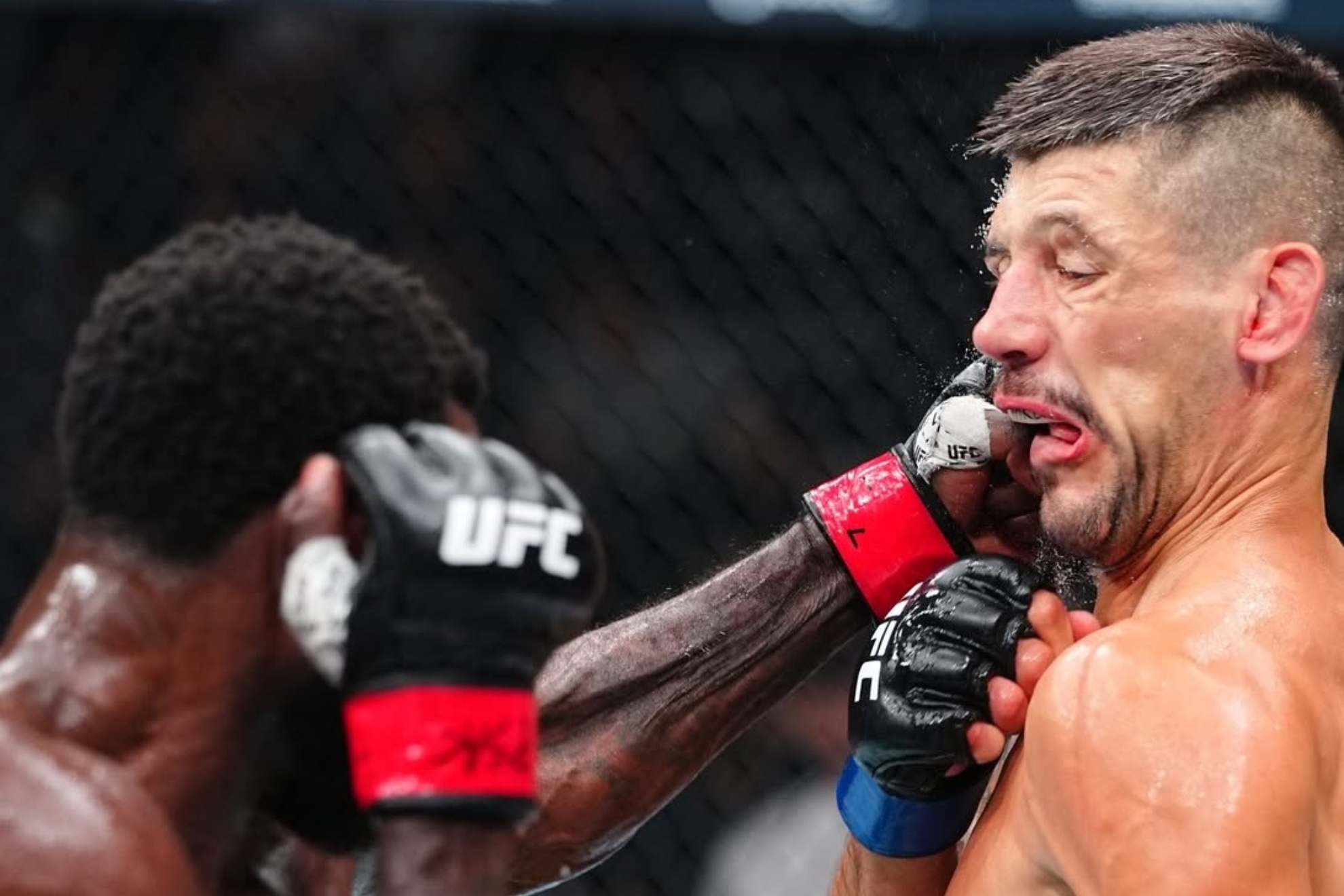 Joel Álvarez y Chidi Njokuani durante el UFC 330. UFC.