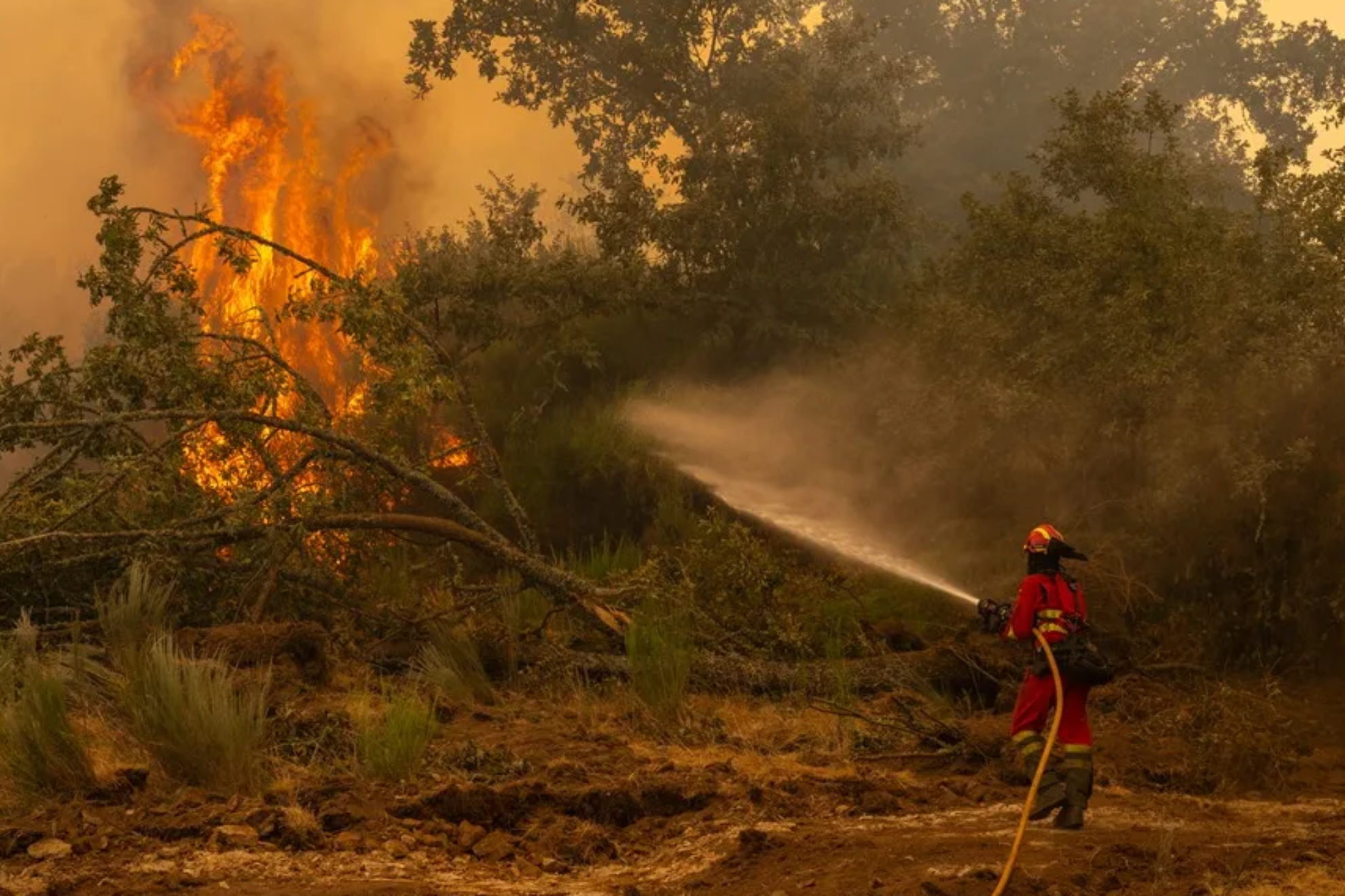 Incendio EFE