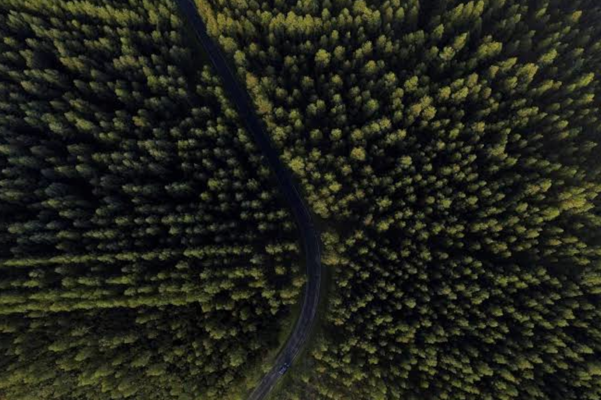 La "Gran Muralla Verde" ocupa casi el 42% del territorio chino EFE