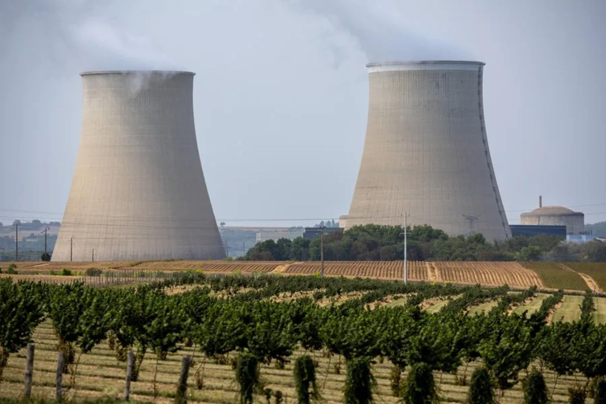 Central nuclear EFE