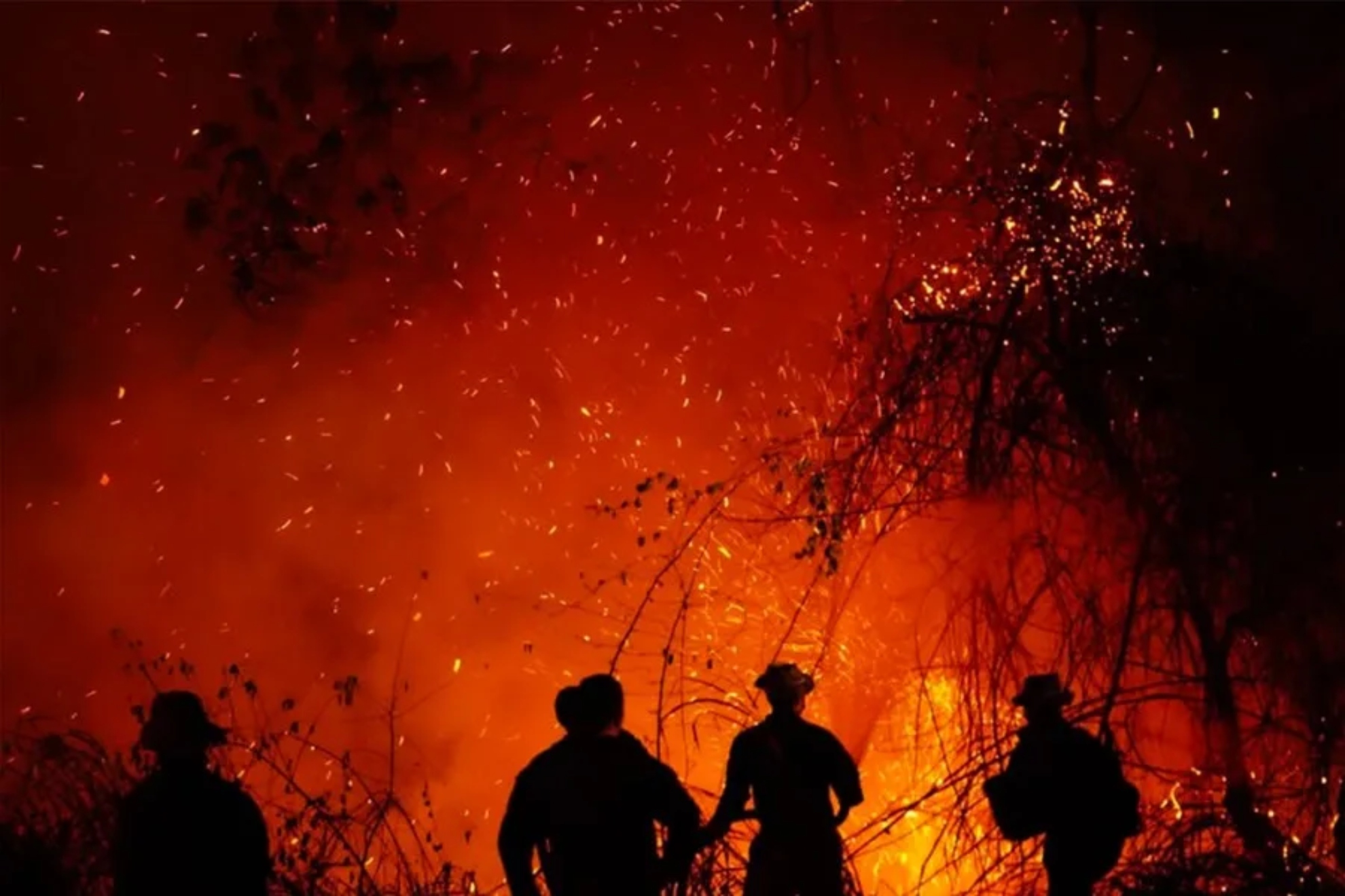 pción para Google Discover (Mayor CTR y Clics) Alerta por voraces incendios en Tolima y Santander: llamas amenazan a decenas de viviendas y nacimientos de agua.