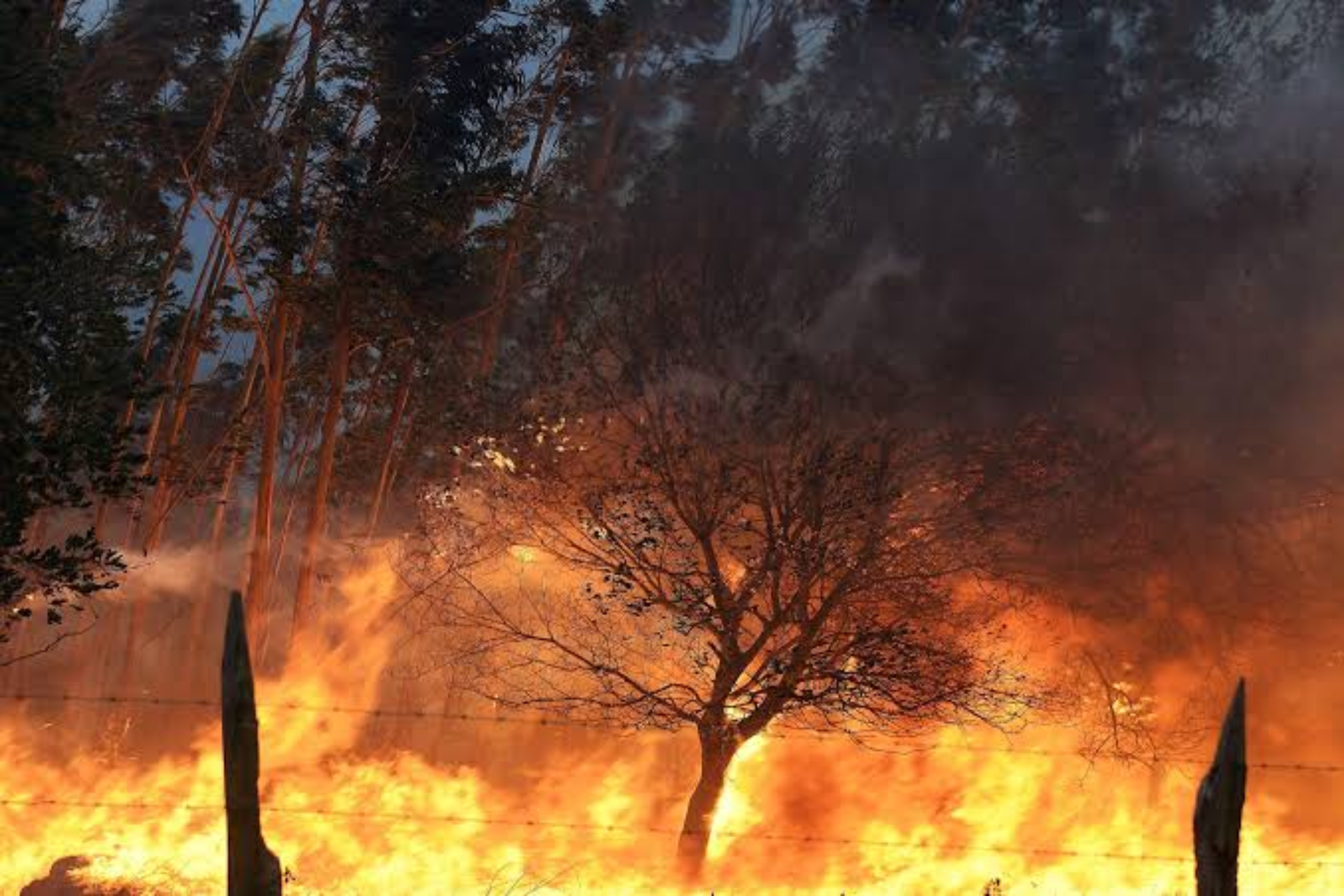 Alerta por el riesgo extremo de incendios en varias regiones de la Península EFE