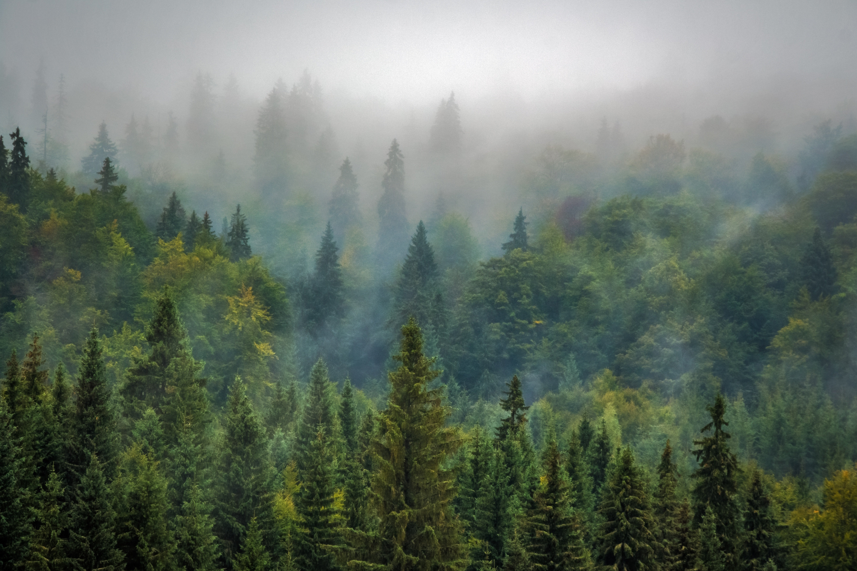 La naturaleza es aliada del ser humano