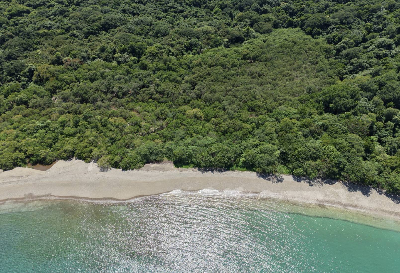 Bosque tropical.